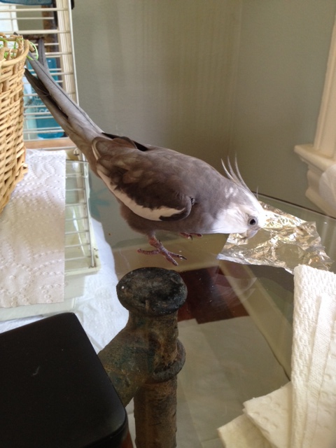 Now, stare deeply into it. This way, you can really let your prettiness sink in.