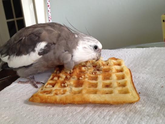 MY waffle, Mom. MINE.
