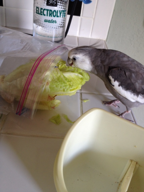 Well, first I'll just sample it....to determine whether it is flavorful enough to present a true threat.