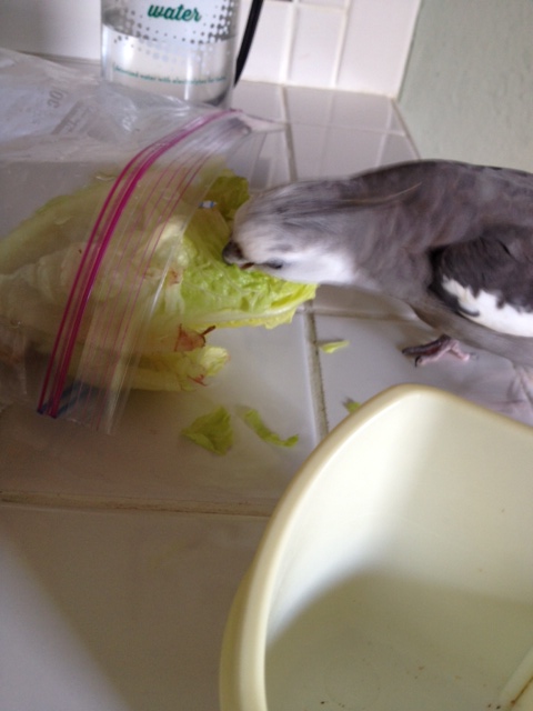 Hmmm. I'll just do another small sampling over here....so far, it seems quite flavorful indeed!