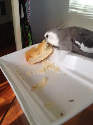 Well, I'll be. This is actually quite tasty! Now, for the final test.....