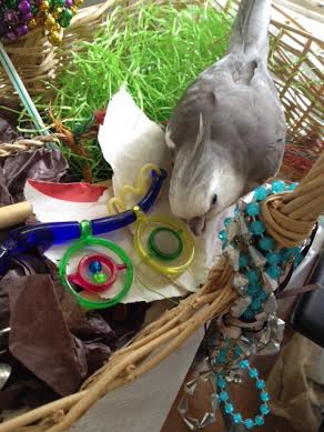 It is important to be impartial by examining prettiness from every angle.