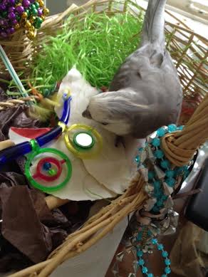 Having reliable (and extra shiny) research tools is also essential.