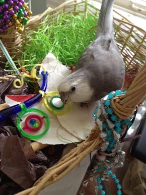 At a certain point when the basic data collection is done, it is time to get your large featherless assistant to collate your findings.