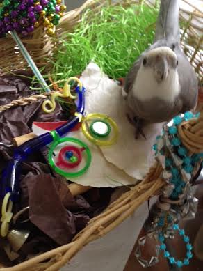 Research complete, all that remains is to pose for your official "biography" photo, which journalists will require when they disseminate your research.