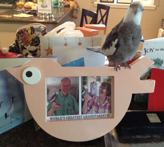 Pearl offers his grandparents the very best Anniversary present he could find - himself! 