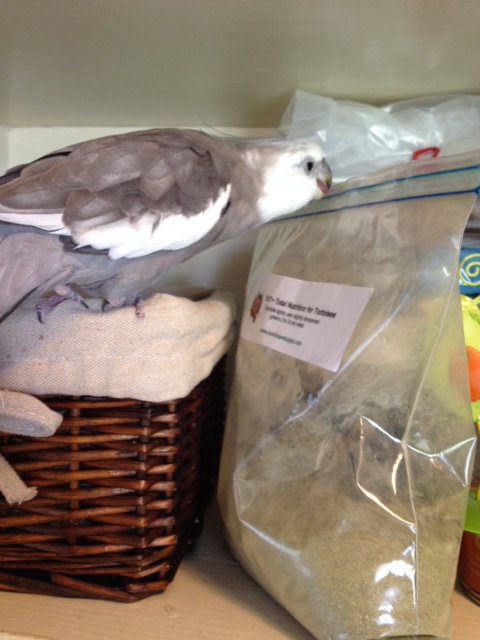 Mom? Do you see it now? This doesn't belong here - it doesn't even have my name on it!