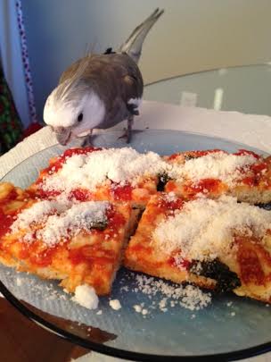 Wow! This looks delicious!  