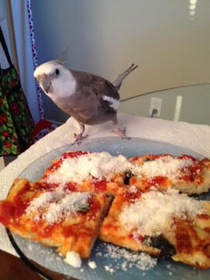 The featherless being seems to have wandered off again.