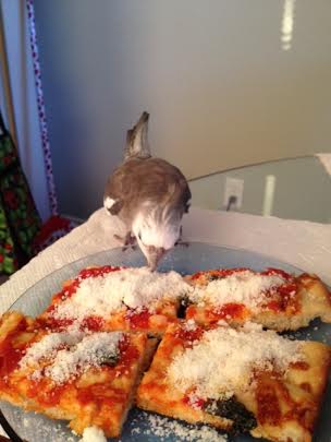 I must therefore conclude she made this dish for me!