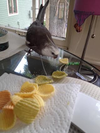 I'll just glare at the escapee to intimidate it.