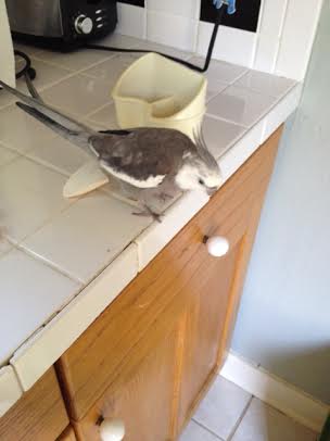 Wow - that really scattered nicely.