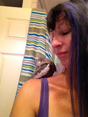 When one of the participants starts preening, game rules state the game is officially over. At this time the participant votes are collected and tallied, and a winner declared. At this point, whichever participant is smaller and cuter wins.