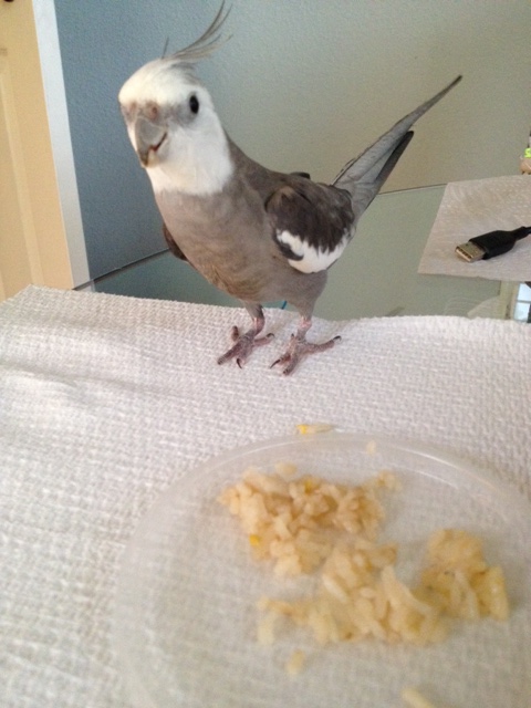 I am feeling particularly fierce and ferocious today.