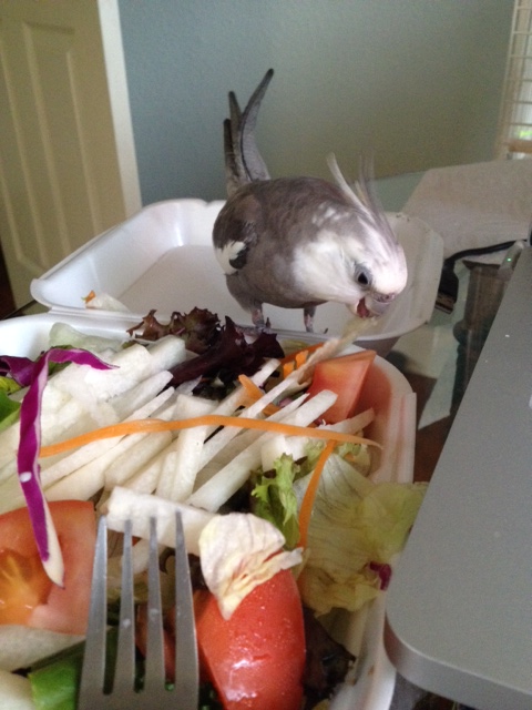 I'll just dig in over here.