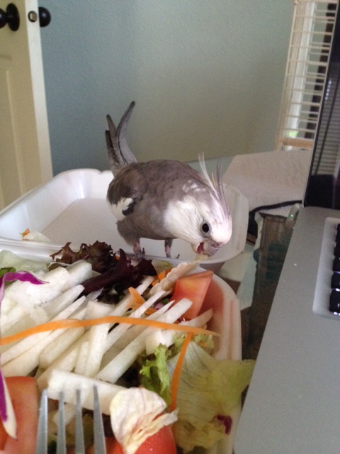 Okay, Mom, one press shot, but surely the scientists don't still have questions?!