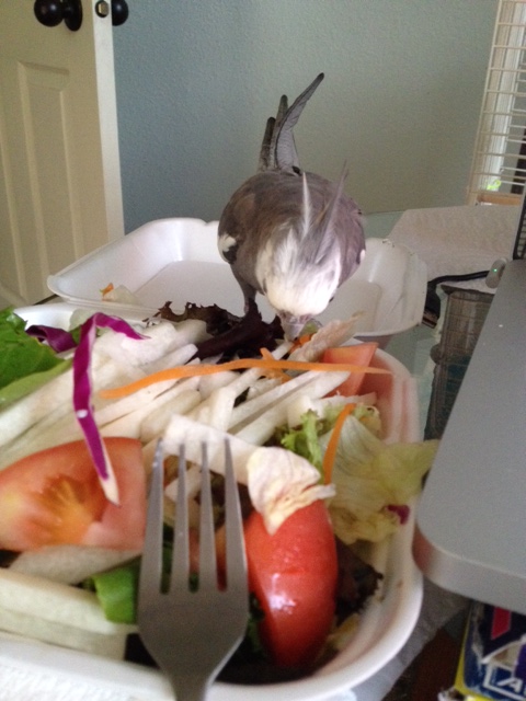 I'll just have a few more nibbles for my fans.