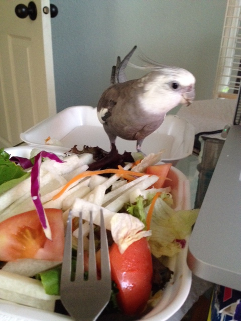 Whoa. What is that I see....is that.....STYROFOAM?!