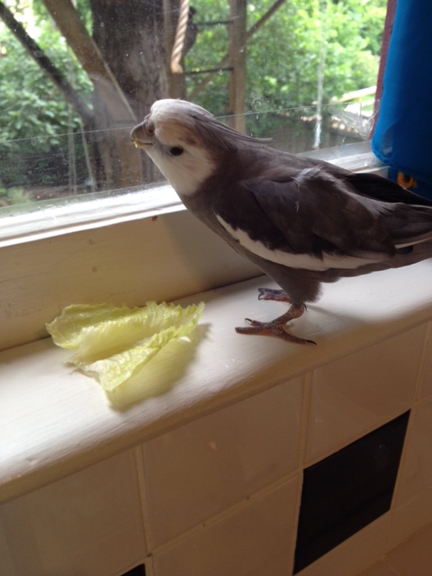 This looks quite fresh and crunchy - I guess Mom just forgot to serve it to me.