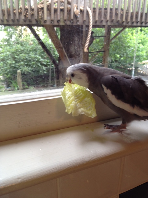 Not to worry. I know just what to do.