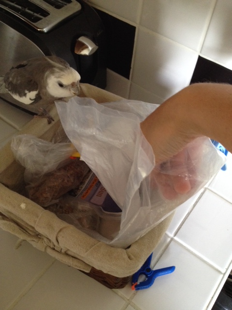 It is one of my favorite dishes too - sunflower seeds.