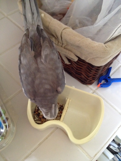 Delicious. Just like I knew it would be.