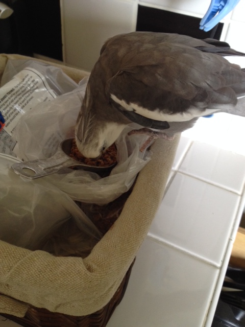 This dish is also quite delicious.