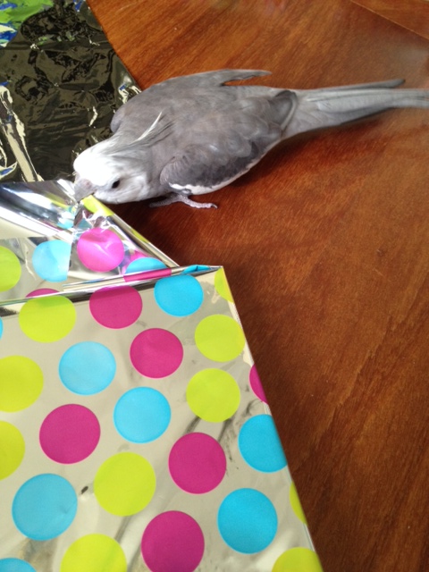 Here, I'll just start unwrapping it for you.