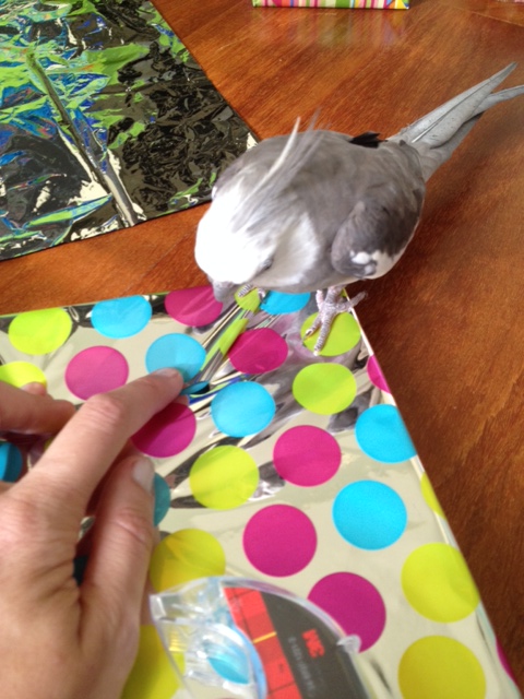 So far not so good. Mom, you'd better let me help you.