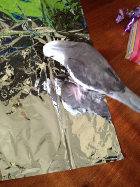 Look how much prettier this side is! In fact.....