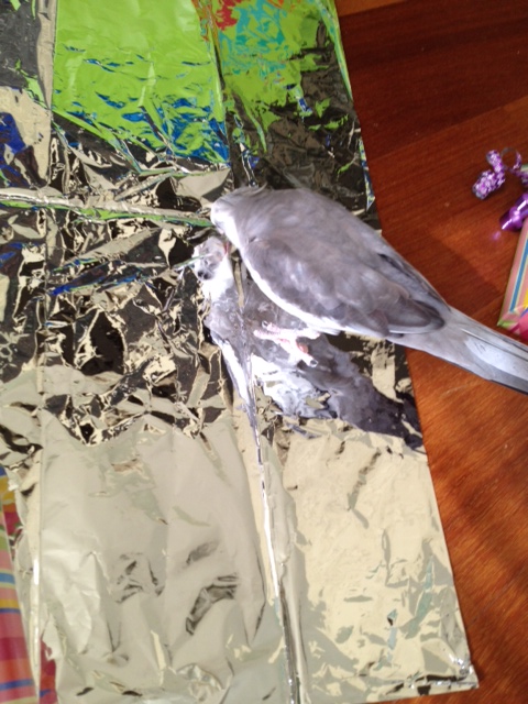 Well I'll be! VERY pretty indeed!