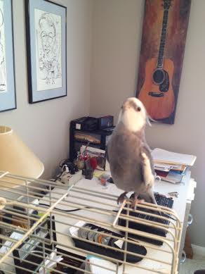 Sure, Mom, you can take a PR photo - my fans deserve it!