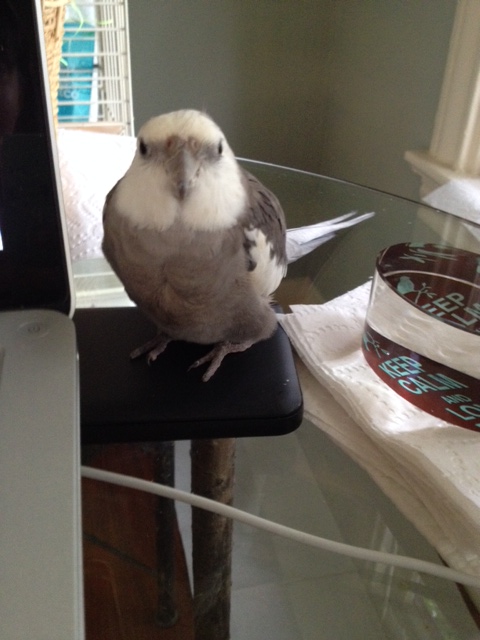 Well, okay - I can travel any time I want, but sure, let's take it out for a spin!