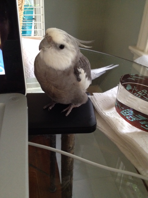 I don't know, Mom - I think this one might be broken.