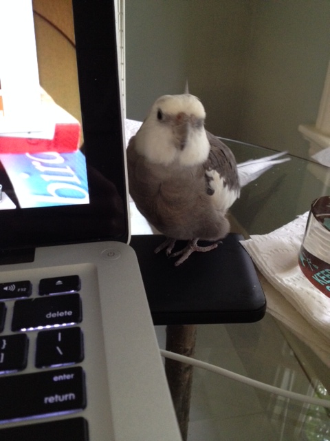 A what? A "time machine?" 