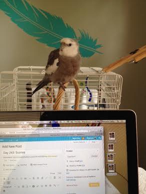 As the morning light advances, I will use "nonverbal communication" to convey the sun's movement to the audience.