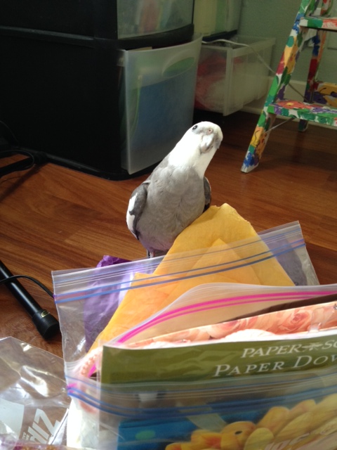 Thanks, Mom - I knew you were the right assistant for me!