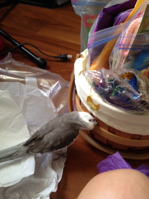 This darker part is quite crispy too - its flavor reminds me of the large rectangular chew toy in the other room that Mom sometimes sits on.