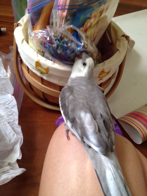 How wonderful and crunchy this part is!