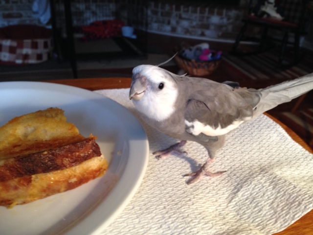 It seems big enough to share, Mom, but you'd better let me bring it down. I have special training for this.