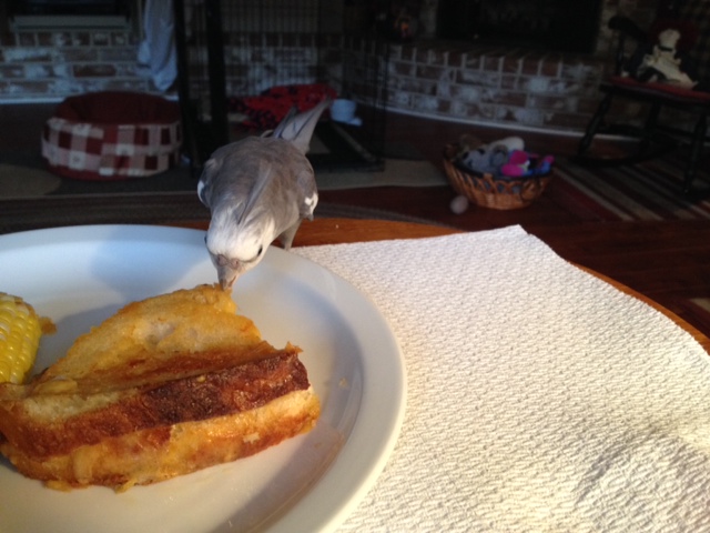 Now just a nibble - must make sure it is worth the effort.