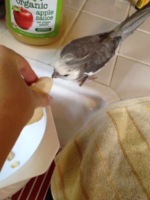 Well, yes, Mom, I think you're good so far - that does look like a banana, I agree.