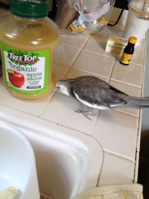 Now I'd better check out the other things she wants to add in.