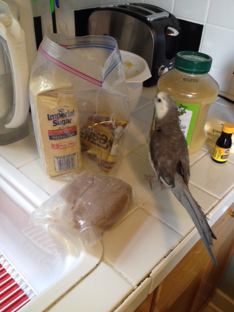 Okay, Mom, go for it - I'll be right here the whole time for when you have questions.