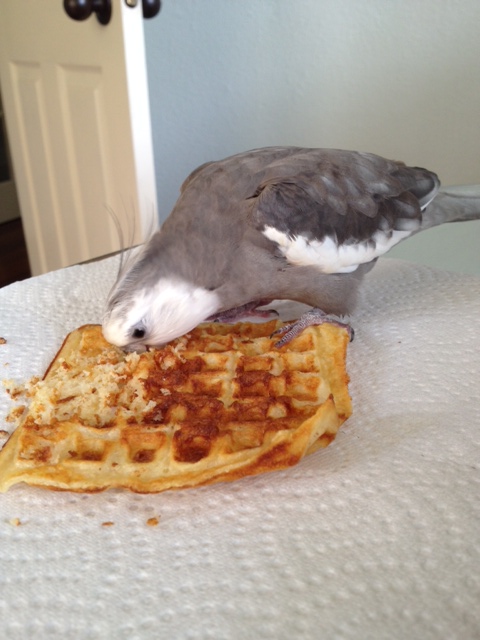 Now (this is my favorite part) you can take a big delicious bite.