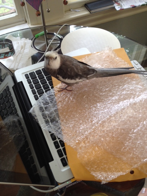 I'd better check it out to see if I want to claim it for myself.