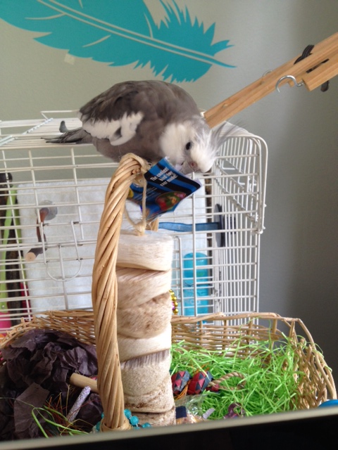 It says it's a "Bird Kabob."