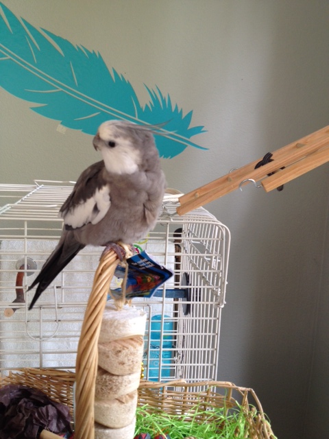 Grandma bought it for me? Cool!