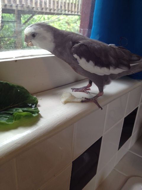 My - this is a mighty high ledge.