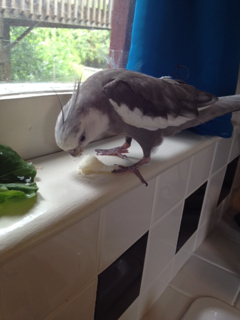 This is a HIGH LEDGE - do you hear me? HIGH. 